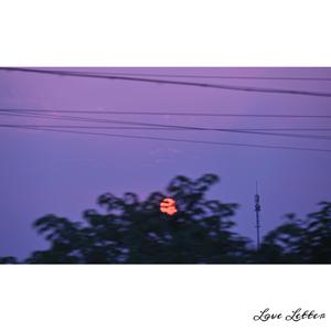 伊人网中文字幕
